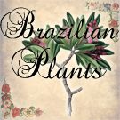 Brazilian Plants