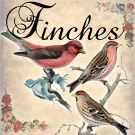 Finches
