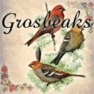 Grosbeaks