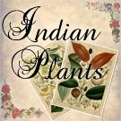 Indian Plants