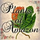Plants of Amazon