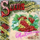 Seeds Catalogs