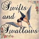 Swallows and Swifts