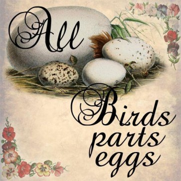 all birds parts eggs