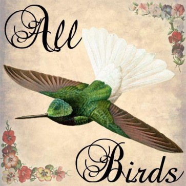 all birds