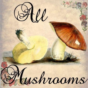 all mushrooms