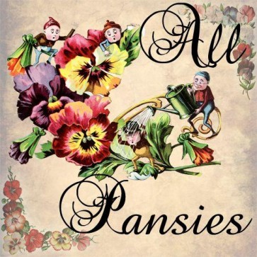 all pansies
