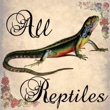 all reptiles and amphibias