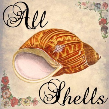 all shells