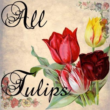 all tulips