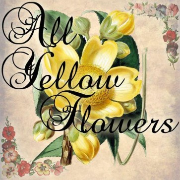 all yellow flowers