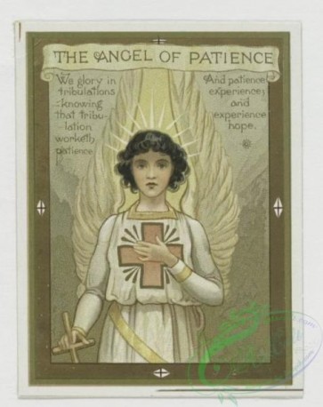 angels-00081 - 418-Christmas cards depicting angels, books, flowers, and stars.105671 [622x783]