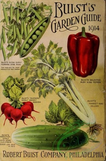 cucumber-00175 - 028-Pea, Celery, Pepper, Radish, Cucumber