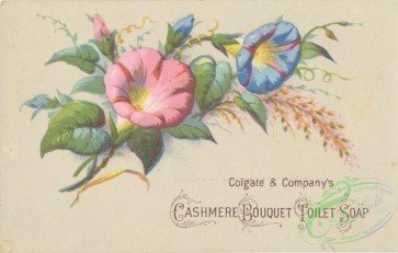 ephemera_advertising_trading_cards-00844 - 0844-Ipomoea flowers [3000x1907]