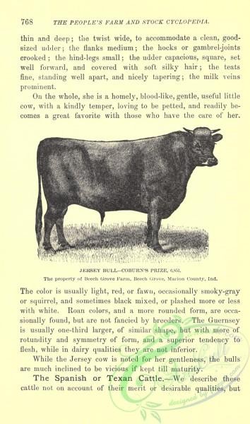 hoofed_cattlefarm-01749 - black-and-white 188-Jersey Bull