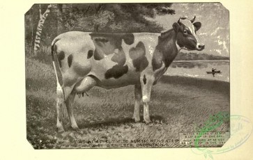 hoofed_cattlefarm-01943 - black-and-white 123-Cow