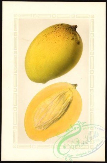 mango-00078 - 4530-Mangifera indica-Totafarice [2634x4000]