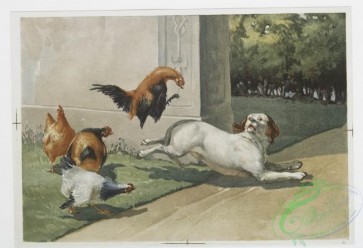 prang_cards_animals-00159 - 1139-Prints entitled 'the advance' and 'the retreat,' depicting a dog chasing roosters and roosters chasing the dog 100506