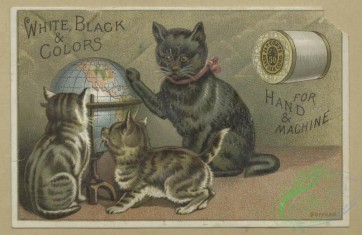 prang_cards_animals-00247 - 1661-Trade cards depicting boats, flowers, cats, thread, a globe and a flower personified 102906