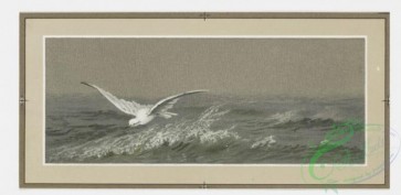 prang_cards_birds-00058 - 0224-Christmas and New Year cards depicting birds and ocean scenes 104143