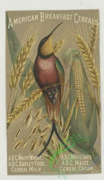 prang_cards_birds-00244 - 1789-Trade cards depicting men, a woman, flowers, a bird, corn, a canoe, a river, a broom and advertisements 103697