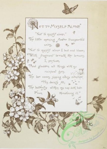 prang_cards_black-and-white-00321 - 0799-Not to Myself Alone - song lyrics with musical notes, birds, flowers, butterflies, and vines 107744