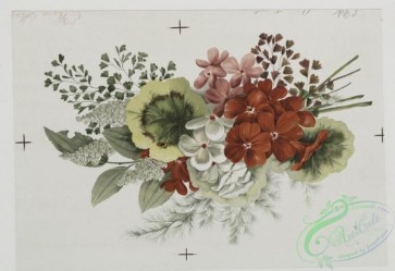prang_cards_botanicals-00044 - 0498-Christmas, birthday, and Valentine cards depicting flowers 106256