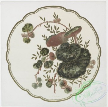 prang_cards_botanicals-00194 - 0926-China Painting 1 (prints depicting plant and flower forms.) 108276