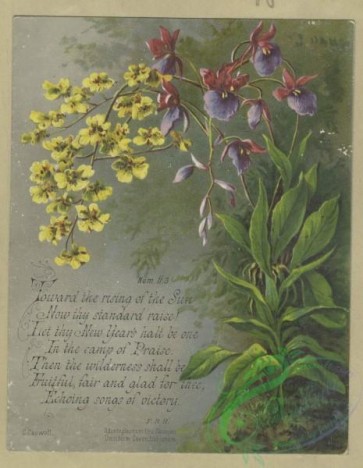 prang_cards_botanicals-00355 - 1604-Trade cards depicting flowers, butterflies, a chocolate stand, a lake and boating 102577