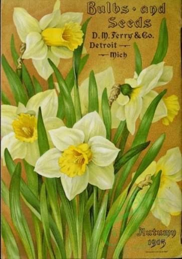 seeds_catalogs-00214 - 214-Daffodil [3249x4588]