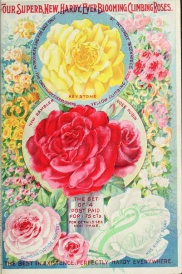 seeds_catalogs-01409 - 058-Rose, Round [3081x4612]
