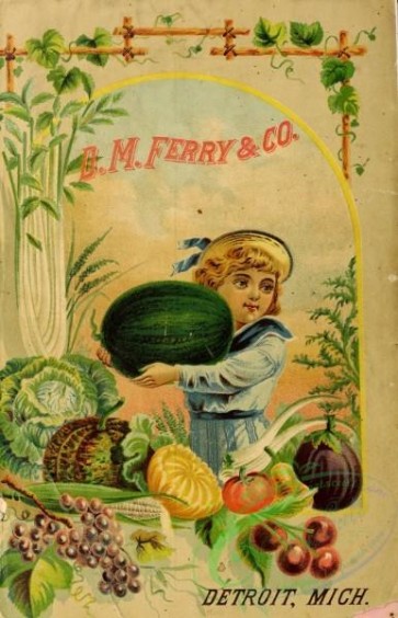 seeds_catalogs-01446 - 096-Girl with Watermelon, Fruits, Frame, vegetables [2637x4095]
