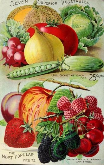seeds_catalogs-01755 - 026-Harvest, Berries, Raspberry, Cherry, Blackberry, Apple, Strawberry, Plum, Onion, Tomato, fruits, vegetables, Radish, Cabbage, Cucumber, Musk Melon [3152x4989]