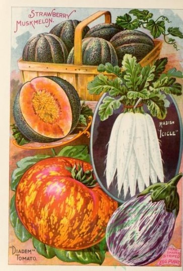 seeds_catalogs-01812 - 083-Radish, Musk Melon, Egg Plant, Tomato [2245x3328]