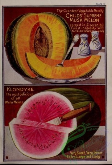 seeds_catalogs-02095 - 027-Musk Melon, Watermelon [3162x4662]