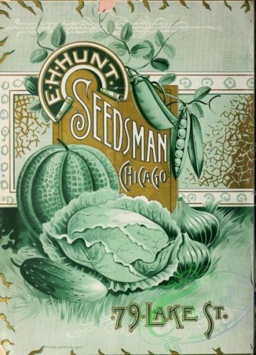 seeds_catalogs-03109 - 027-Musk melon, Cabbage, Onion, Cucumber [2569x3557]