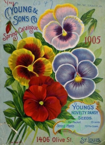 seeds_catalogs-04285 - 085-Pansies [3247x4464]