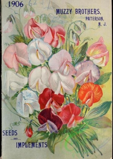 seeds_catalogs-04368 - 070-Sweet Pea [3462x4836]