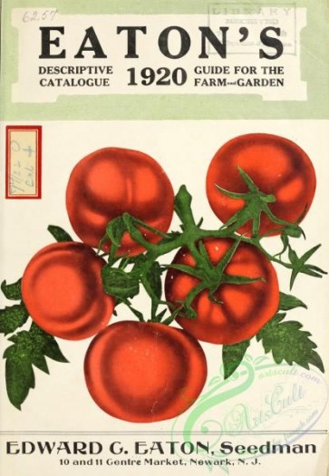 seeds_catalogs-07334 - Tomato
