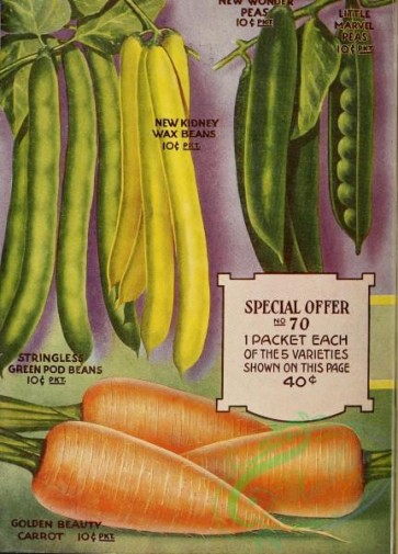 seeds_catalogs-07386 - Carrot, Beans, Peas