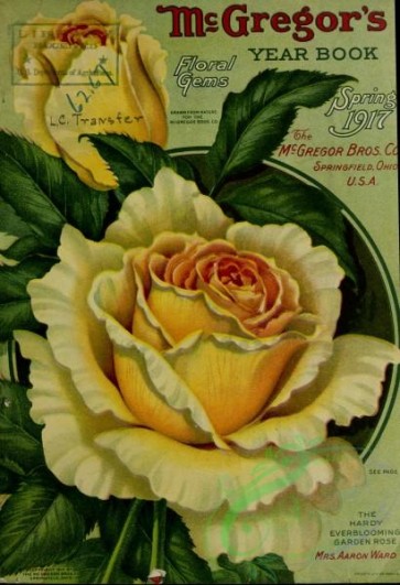 seeds_catalogs-07444 - Roses