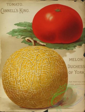 seeds_catalogs-07829 - 002-Melon, Tomato