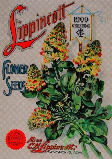 seeds_catalogs-07906 - 001-Cover