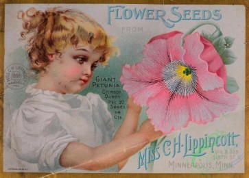 seeds_catalogs-07916 - 002-Girl, Petunia