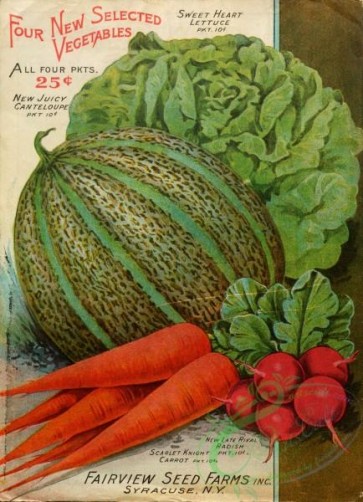 seeds_catalogs-08127 - 004-Musk Melon, Carrot, Radish