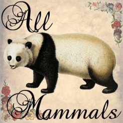 all mammals