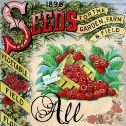 all seeds catalogs