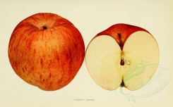 apples-00036 - Apple, 036 [3390x2099]