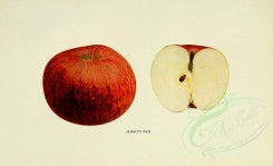 apples-00080 - Apple, 080 [3406x2068]