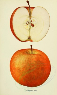 apples-00122 - Apple, 122 [2068x3416]